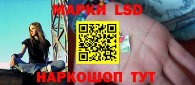мяу мяу мука Кимры