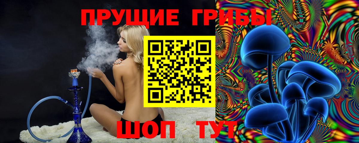 Галлюциногенные грибы Psilocybe Тулун